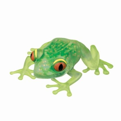 Kids Squeezable Squishy Frog Toy AND I Wonder Where Did The Froggy