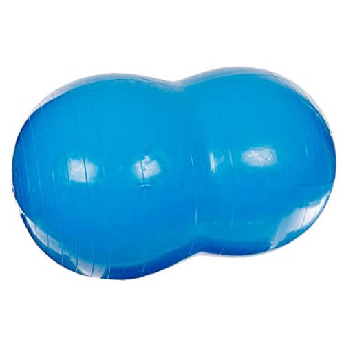 https://www.autism-products.com/wp-content/uploads/Sportime-Physio-Roll-Exercise-Ball-27.6-inch-%E2%80%93-Blue-500x500.jpg